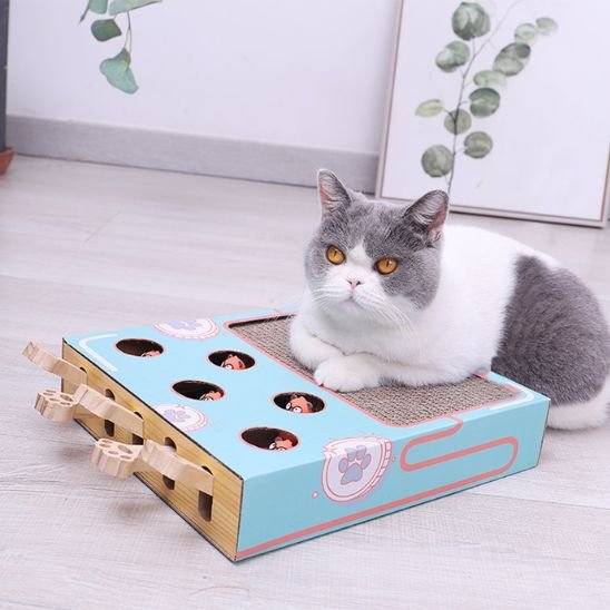 griffoir-chat-en-carton-avec-jouet-interactif
