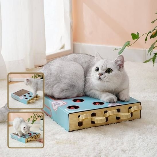 griffoir-chat-en-carton-avec-jouet-ludique