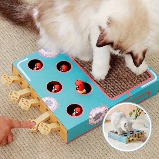 griffoir-chat-en-carton-avec-jouet-résistant