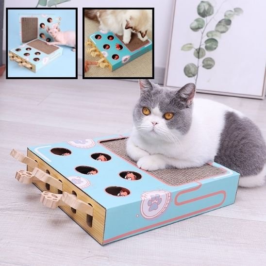griffoir-chat-en-carton-avec-jouet-souris