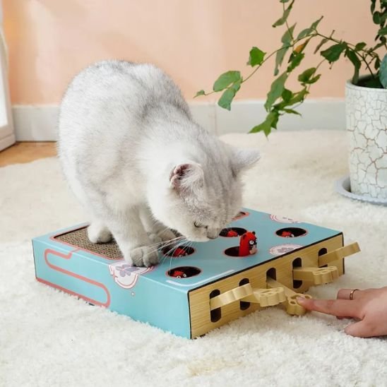 griffoir-chat-en-carton-avec-jouet-stimulant