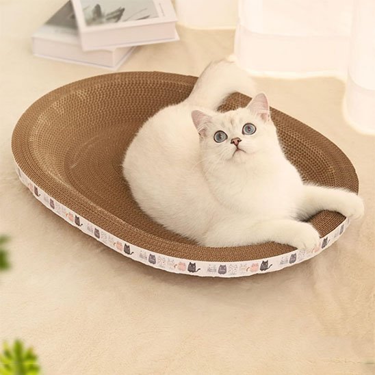 griffoir-chat-en-carton-ergonomique