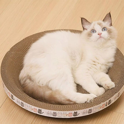 griffoir-chat-en-carton-forme-ronde