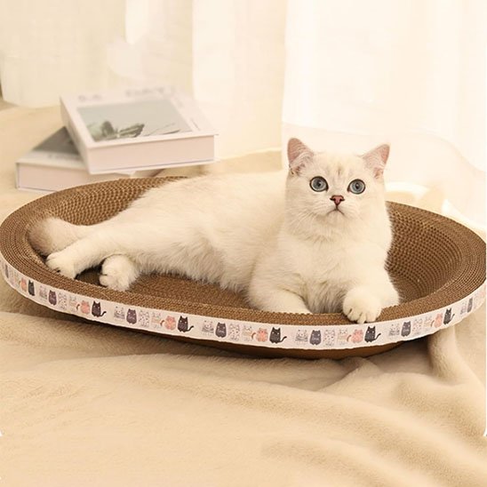 griffoir-chat-en-carton-matière-dure