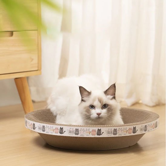 griffoir-chat-en-carton-matière-solide