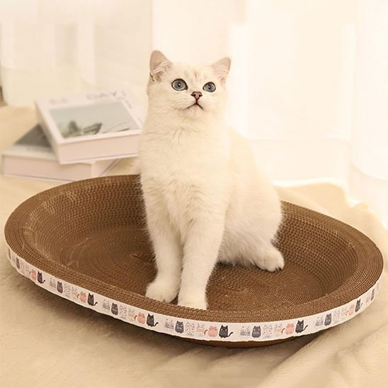 griffoir-chat-en-carton-pratique