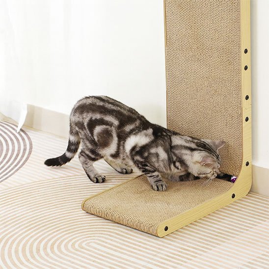 griffoir-chat-en-carton-solide-maintien-optimal