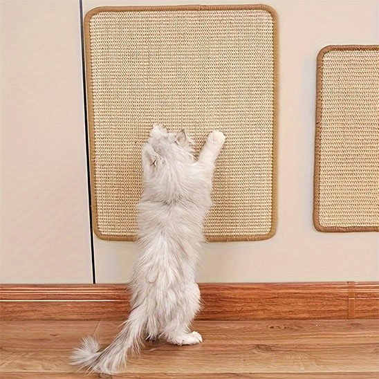 griffoir-chat-en-textile-résistant-pour-mur 