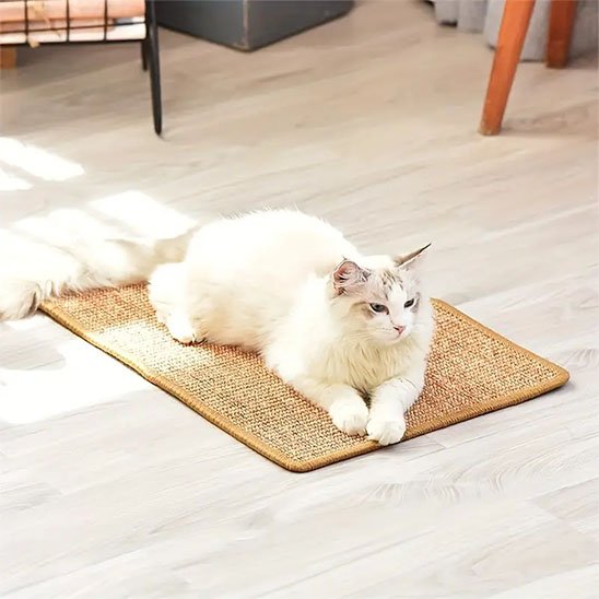 griffoir-chat-en-textile-résistant