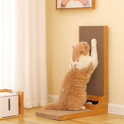 griffoir-chat-qualité-supérieur