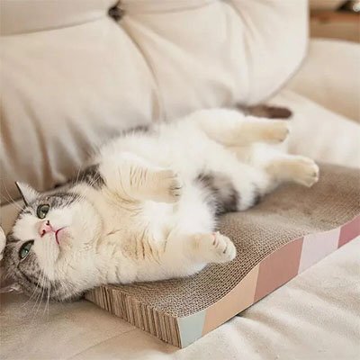 Griffoir-en-carton-pour-chat-ergonomique-efficace