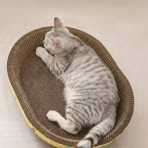 griffoir-en-carton-pour-chat-ovale 