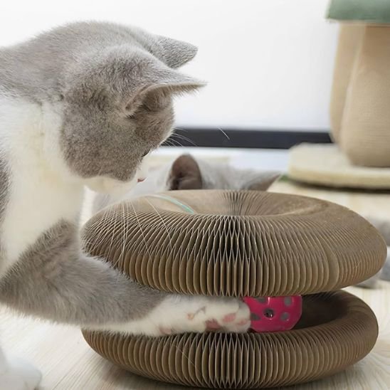 griffoir-pour-chat-en-carton-cercle-modulable
