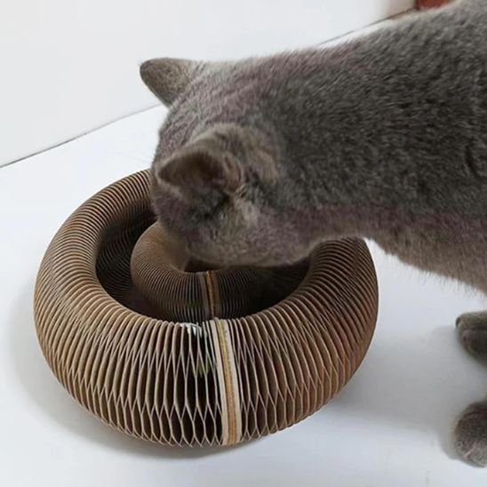griffoir-pour-chat-en-carton-cercle-solide
