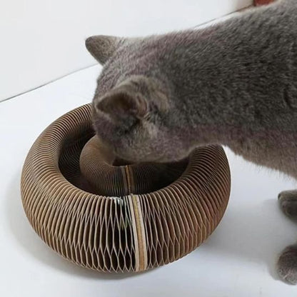 griffoir-pour-chat-en-carton-cercle-solide