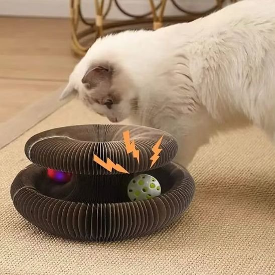 griffoir-pour-chat-en-carton-cercle-spiral 