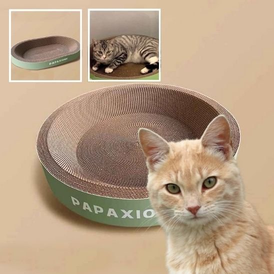 griffoir-pour-chat-en-carton-ovale-écologique