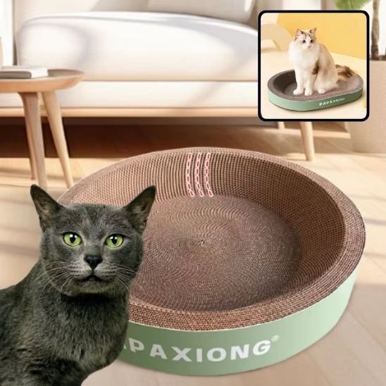 griffoir-pour-chat-en-carton-ovale-recyclable
