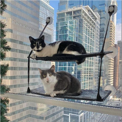 hamac-chat-fenetre-double-place