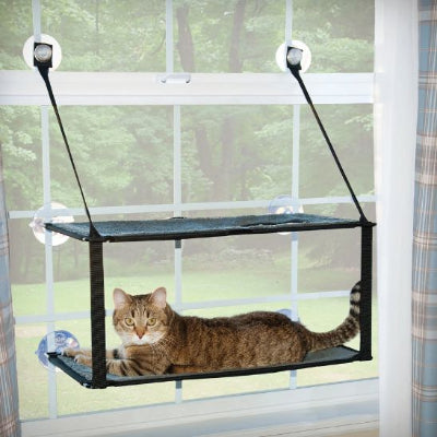 hamac-chat-fenetre-twin