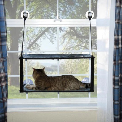 hamac-chat-fenetre-grand