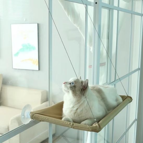 hamac-chat-fenetre-kaki
