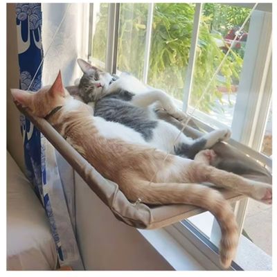 hamac-chat-fenetre-large