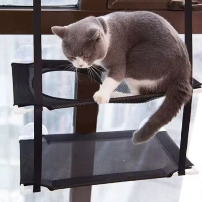 hamac-chat-fenetre-original