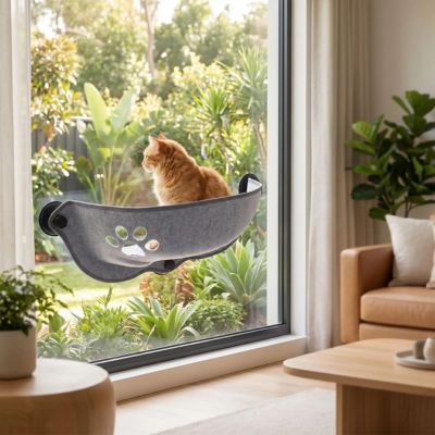 hamac-chat-fenetre-sunnmiaou