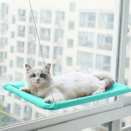 hamac-chat-fenetre-vert