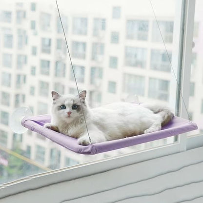 hamac-chat-fenetre-violet