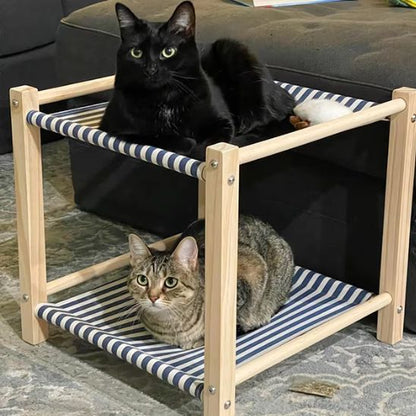 hamac-chat-raye
