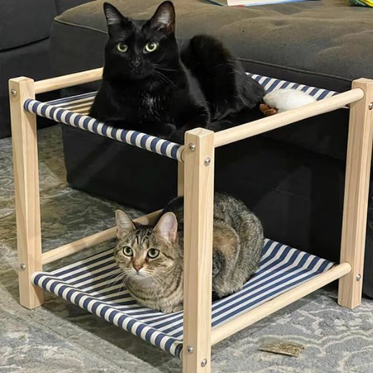 hamac-chat-raye