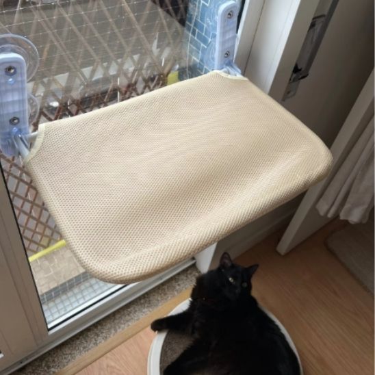 hamac-pour-chat-fenetre-beige