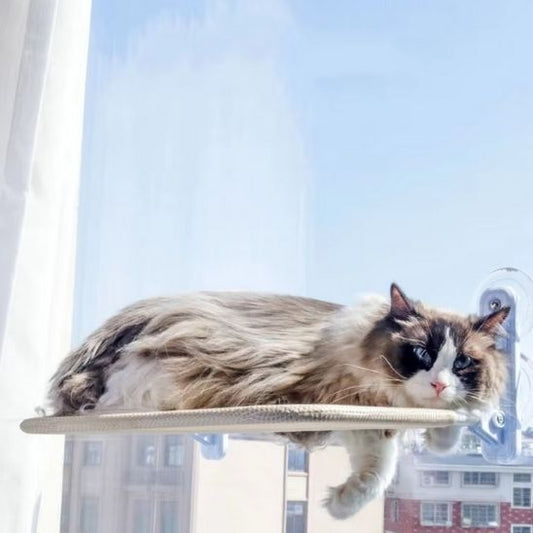 hamac-pour-chat-fenetre-fonctionnel