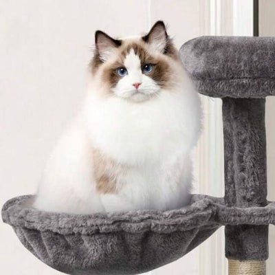 hamac-pour-chat-arbre-gris