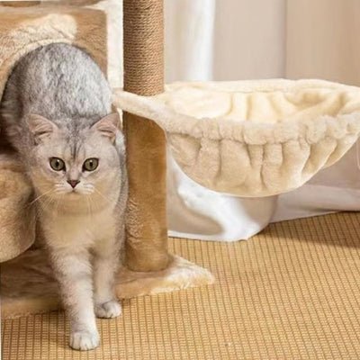hamac-pour-chat-arbre-design