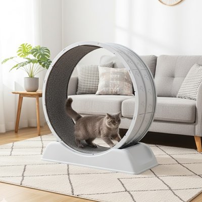 jeu-pour-chat-cercle-avec-griffoir-pour-exercice