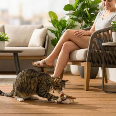 jouet-chat-interactif-oiseau-amusant