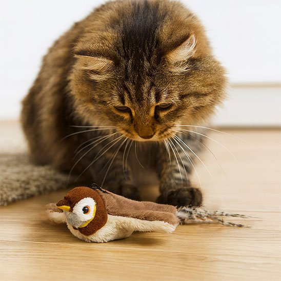 Jouet Chat interactif oiseau amusant