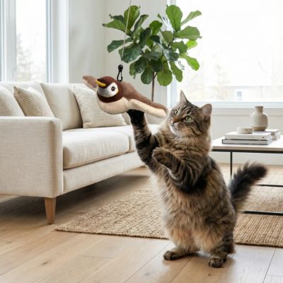 jouet-chat-interactif-oiseau-volant