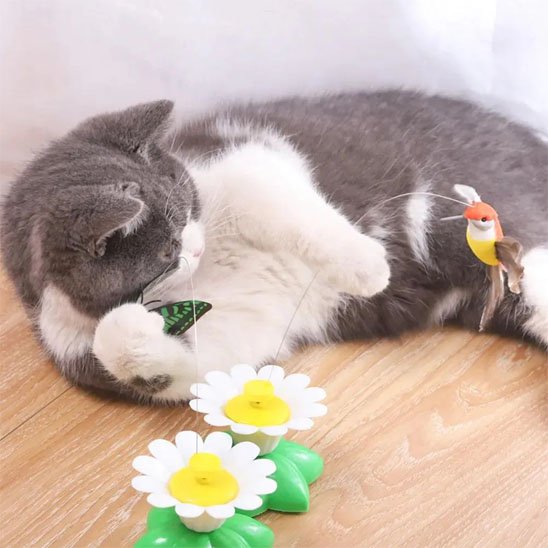 jouet interactif pour chat Patounet - autonome