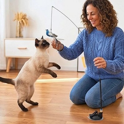 oiseau volant pour chat Interactif - base stable