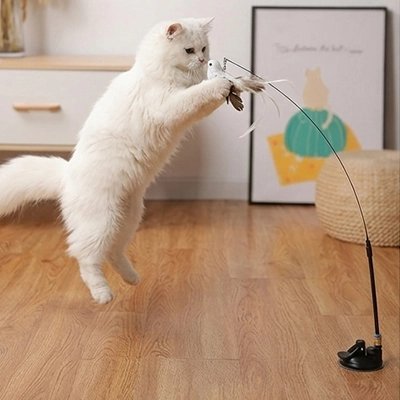 oiseau volant pour chat Interactif - accessoires