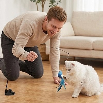 oiseau volant pour chat Interactif - jeu partagé