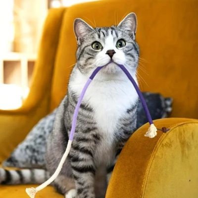 jouet-pour-chat-corde-modulable