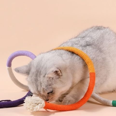Jouet pour chat-corde-tresse