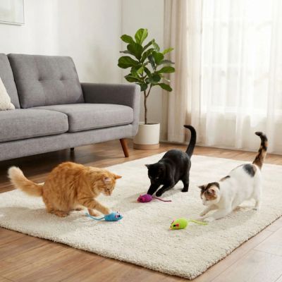 jouet-pour-chat-souris-interactive-muticouleurs