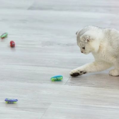 Jouet pour Chat Interactif | Félin'Stimulant - Patte à Chat