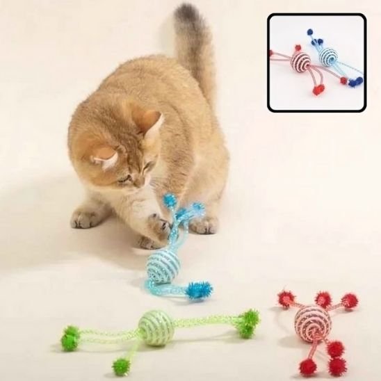 Jouet pour chat | Interactif Plus - Patte à Chat